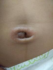 journal_insert_pic_753625852