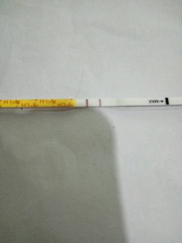 journal_insert_pic_754182526