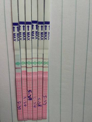 journal_insert_pic_754689542