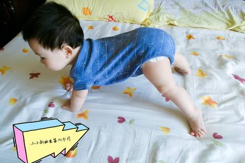 journal_insert_pic_754749162