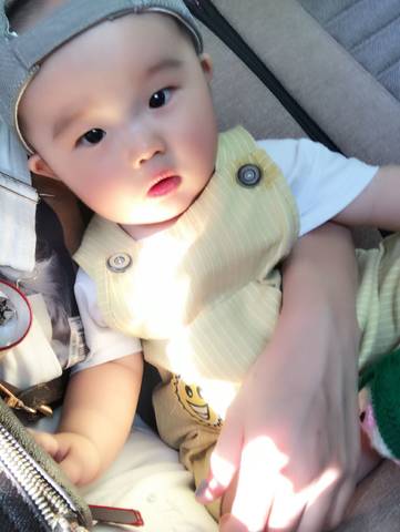 journal_insert_pic_755935324