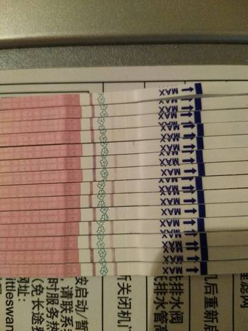 journal_insert_pic_755824154