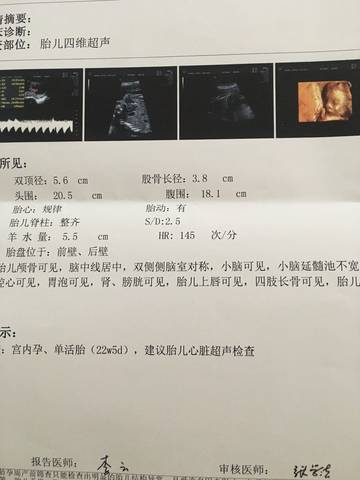 journal_insert_pic_756451528
