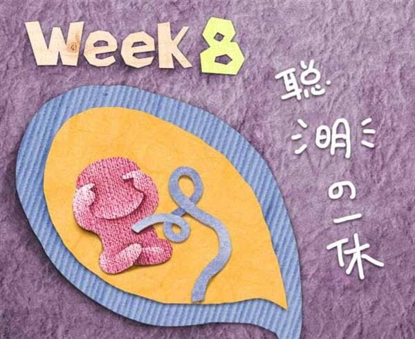 记录记录我的孕早期～愿大家都好孕
