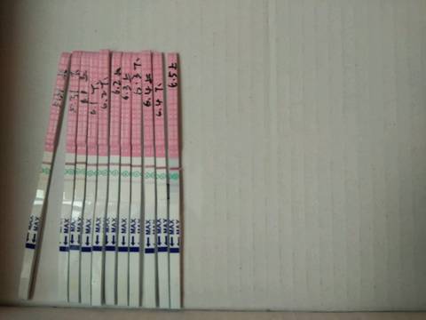 journal_insert_pic_760510685