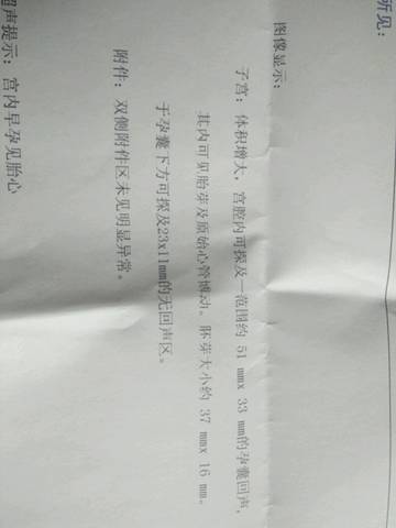 journal_insert_pic_761523004