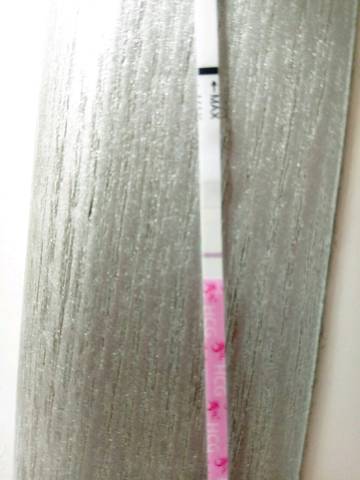journal_insert_pic_763761643