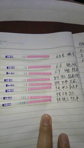 journal_insert_pic_764368887