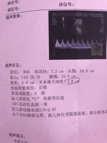 journal_insert_pic_765660454