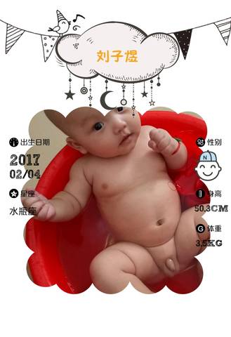 journal_insert_pic_766421639