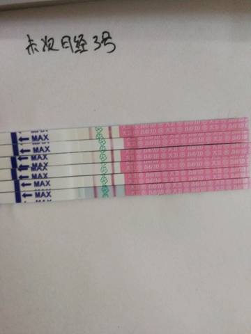 journal_insert_pic_766358849