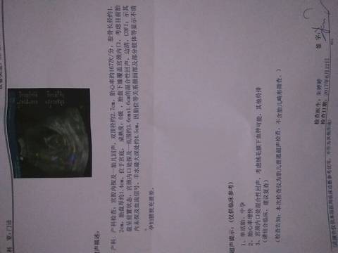journal_insert_pic_767585231