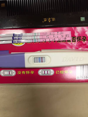 journal_insert_pic_767637538