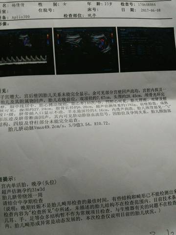 journal_insert_pic_767352626