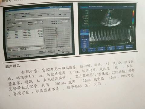 journal_insert_pic_767169935