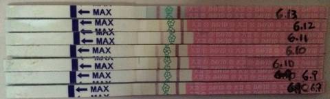 journal_insert_pic_767546178