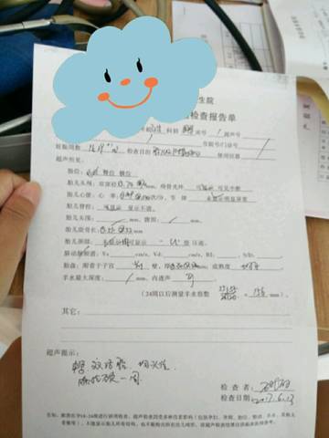 journal_insert_pic_768350001