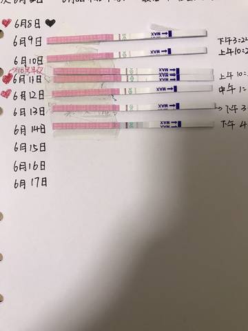journal_insert_pic_768221208