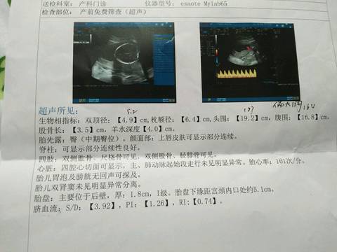 journal_insert_pic_767852216