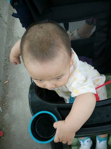journal_insert_pic_768011812