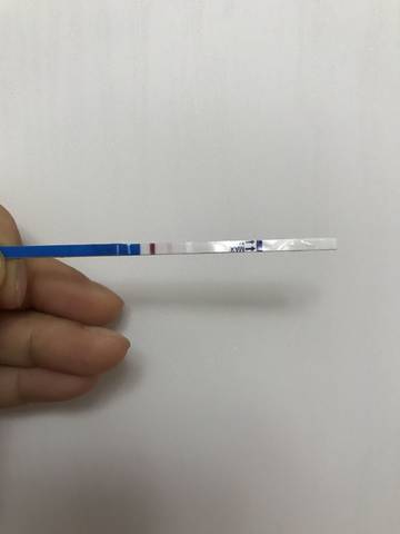 journal_insert_pic_767822018