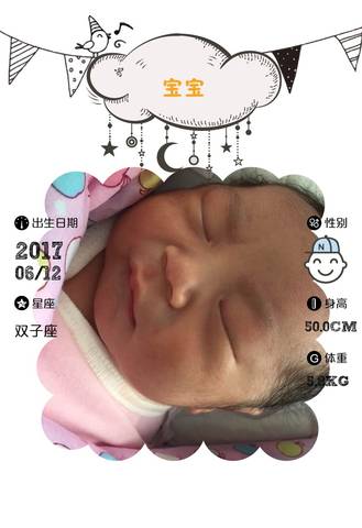 journal_insert_pic_768623055