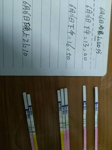 journal_insert_pic_769962843