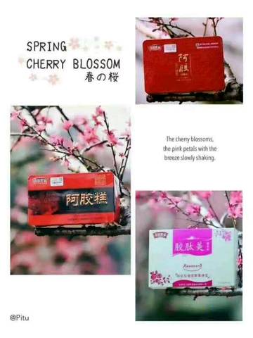 journal_insert_pic_770265309