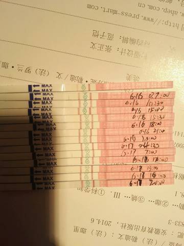 journal_insert_pic_770662702
