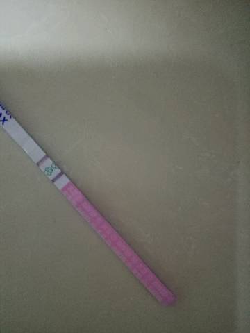 journal_insert_pic_770437332