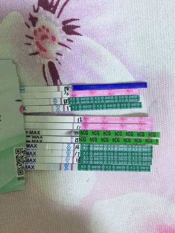 journal_insert_pic_772218069