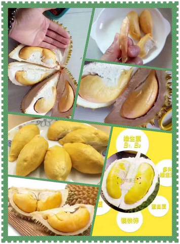 journal_insert_pic_772362487