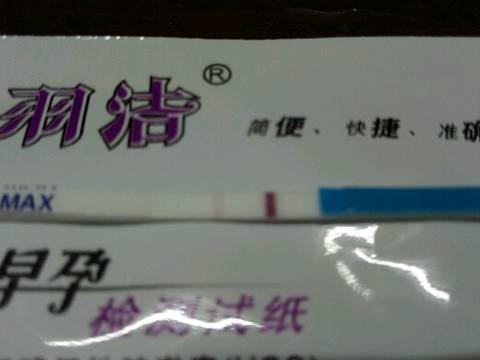 journal_insert_pic_773138680