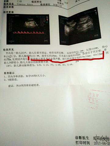 journal_insert_pic_772636931