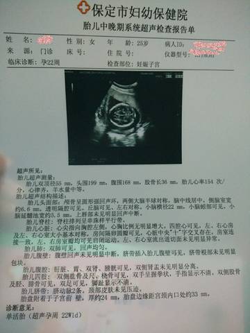 journal_insert_pic_773665548