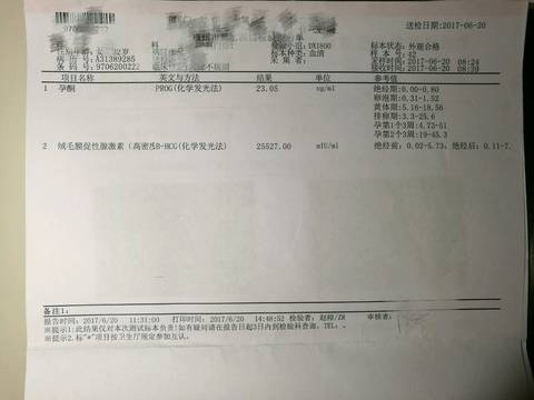 journal_insert_pic_773741552