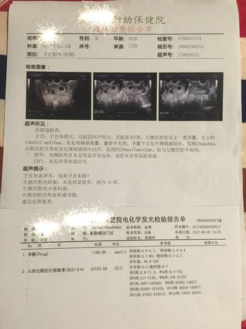 journal_insert_pic_773353563