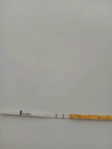 journal_insert_pic_774243708