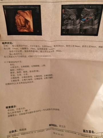 journal_insert_pic_774428897