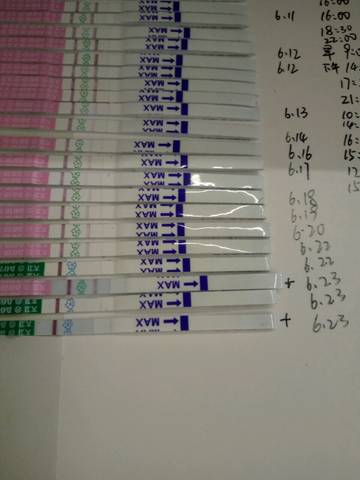 journal_insert_pic_774980671