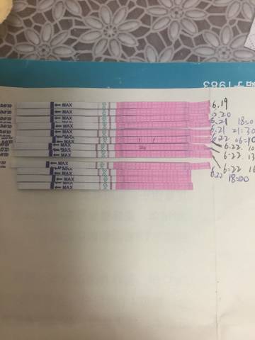 journal_insert_pic_775313896