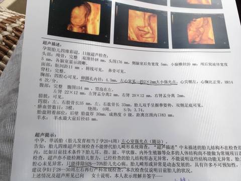 journal_insert_pic_775736026