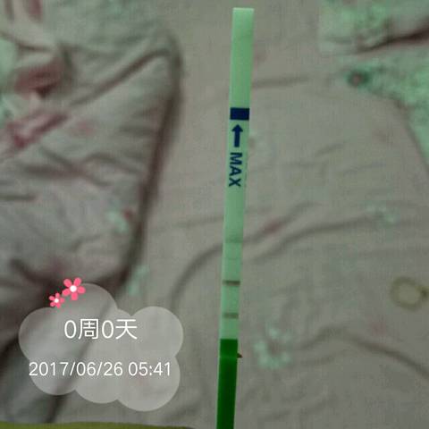 journal_insert_pic_777250855