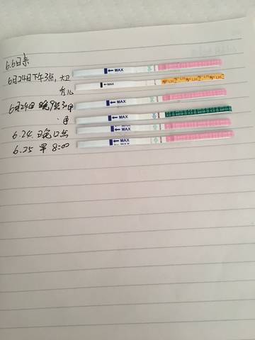 journal_insert_pic_777626518