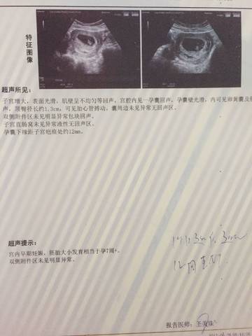 journal_insert_pic_779218845