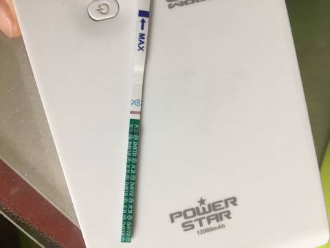 journal_insert_pic_779153426