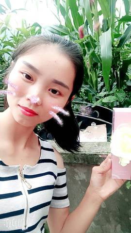 journal_insert_pic_780531112