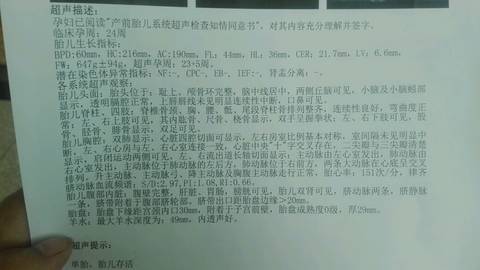 journal_insert_pic_780133343