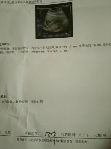 journal_insert_pic_781524726