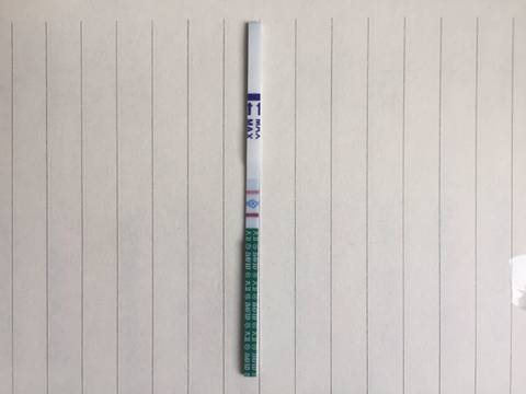 journal_insert_pic_781415416